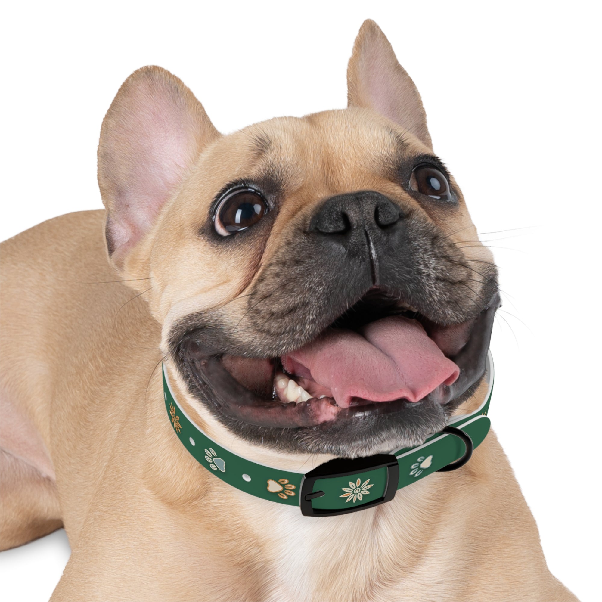 Wildbloom Walk: Dog Collar