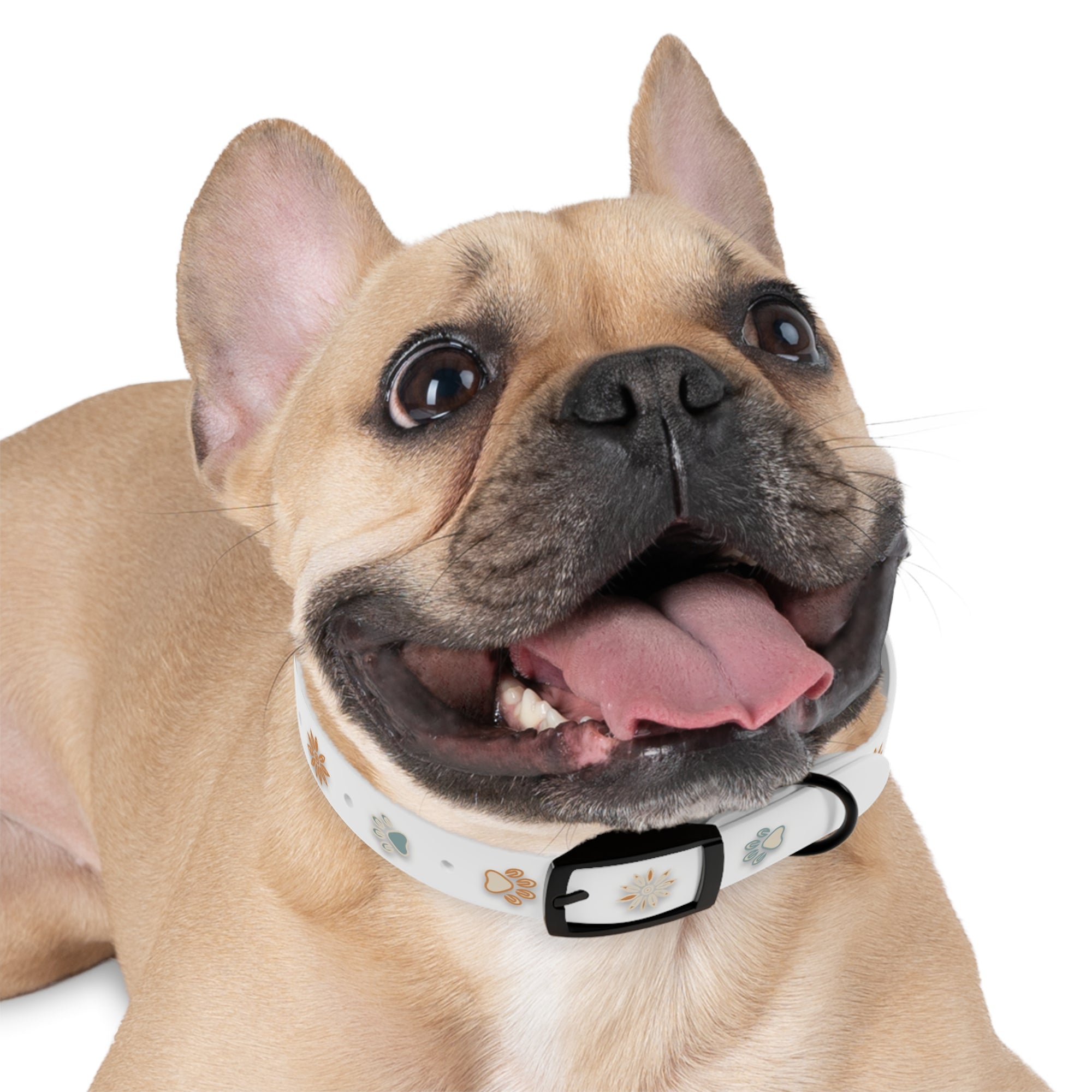 Wildbloom Walk: Dog Collar