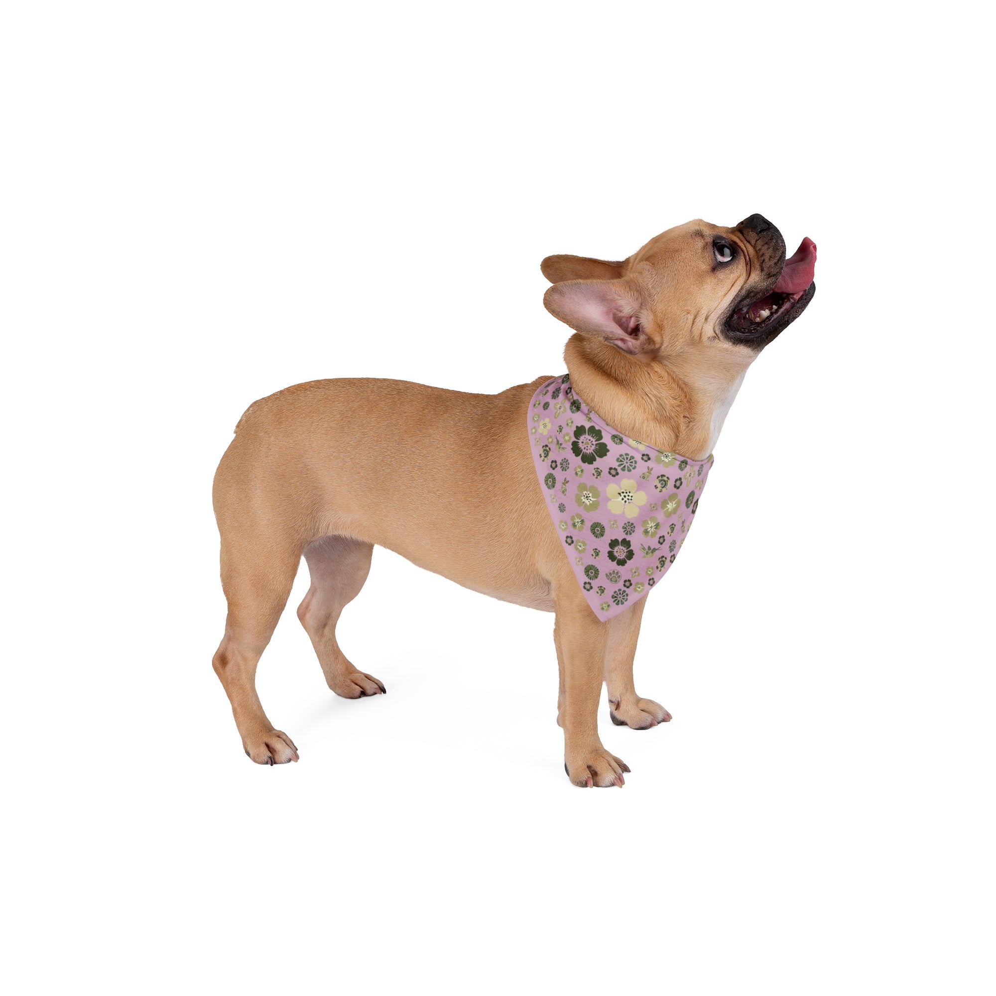Meadow Moments: Pet Bandana