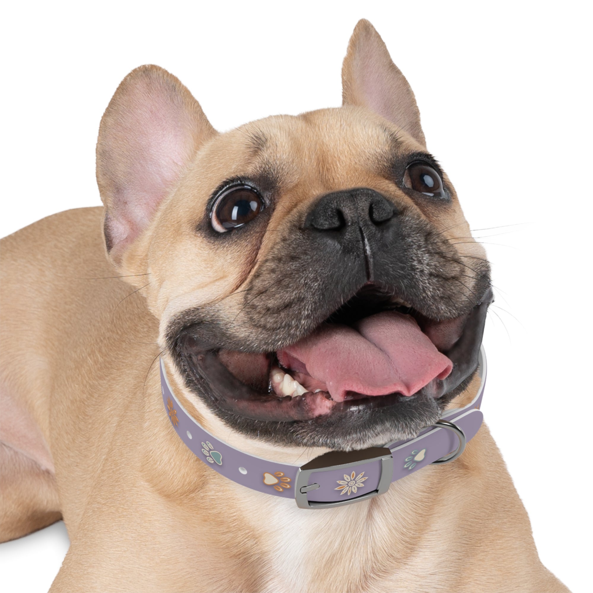 Wildbloom Walk: Dog Collar