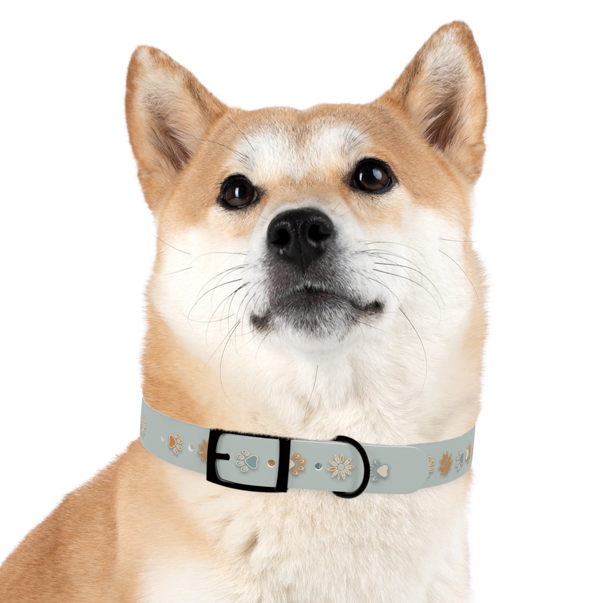 Wildbloom Walk: Dog Collar