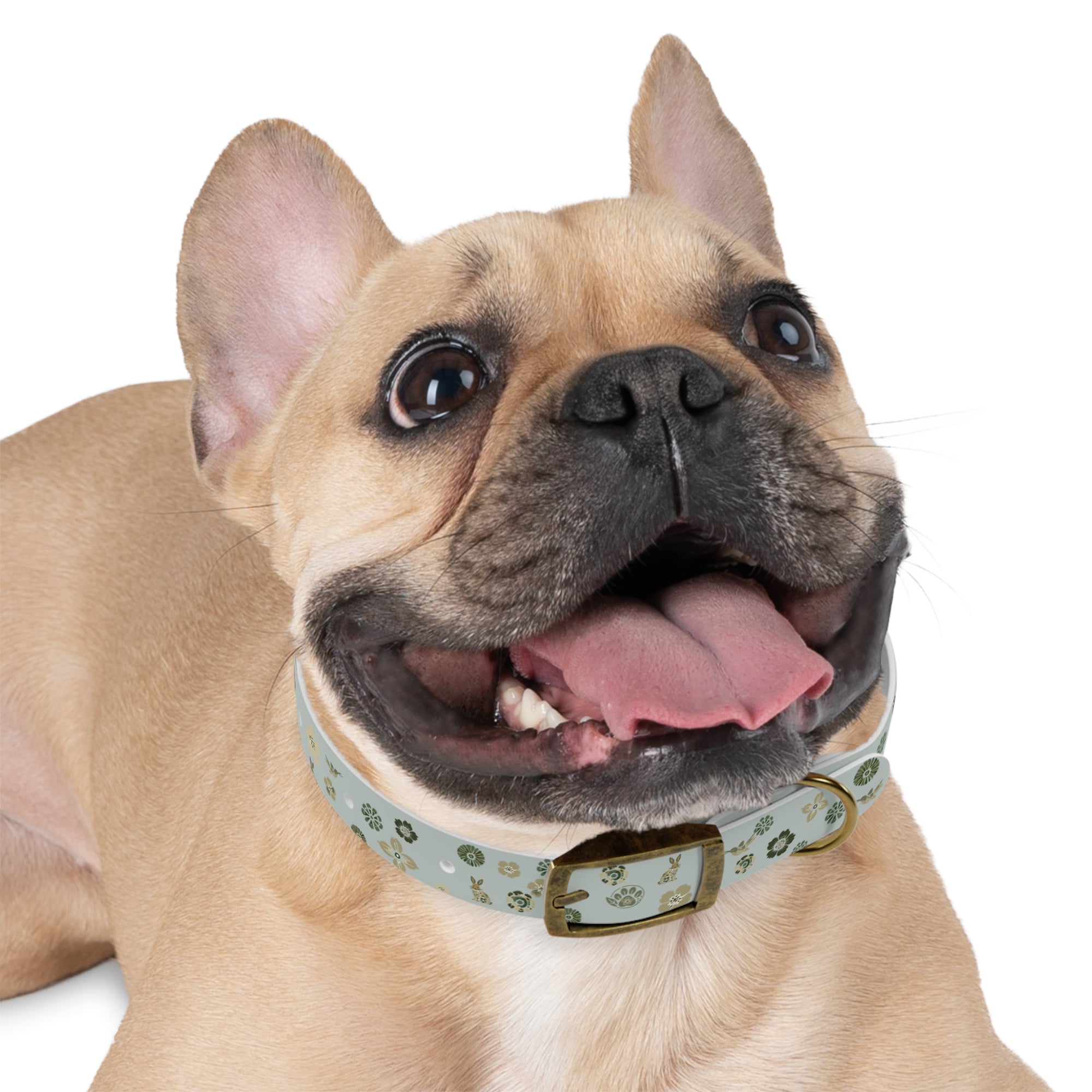 Meadow Moments: Dog Collar