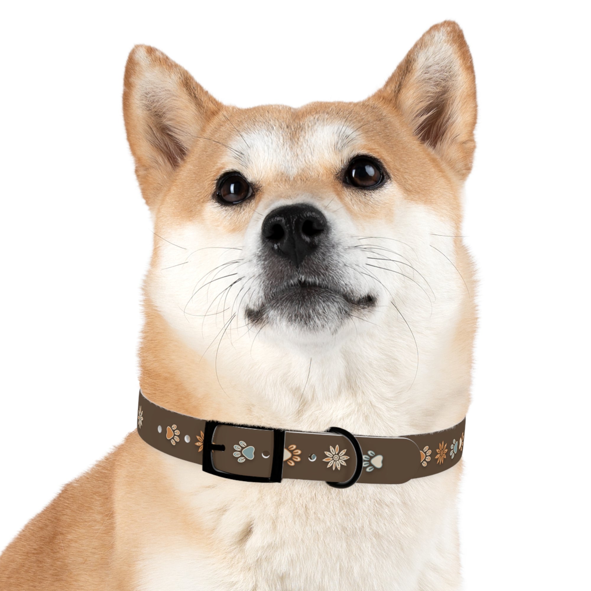 Wildbloom Walk: Dog Collar