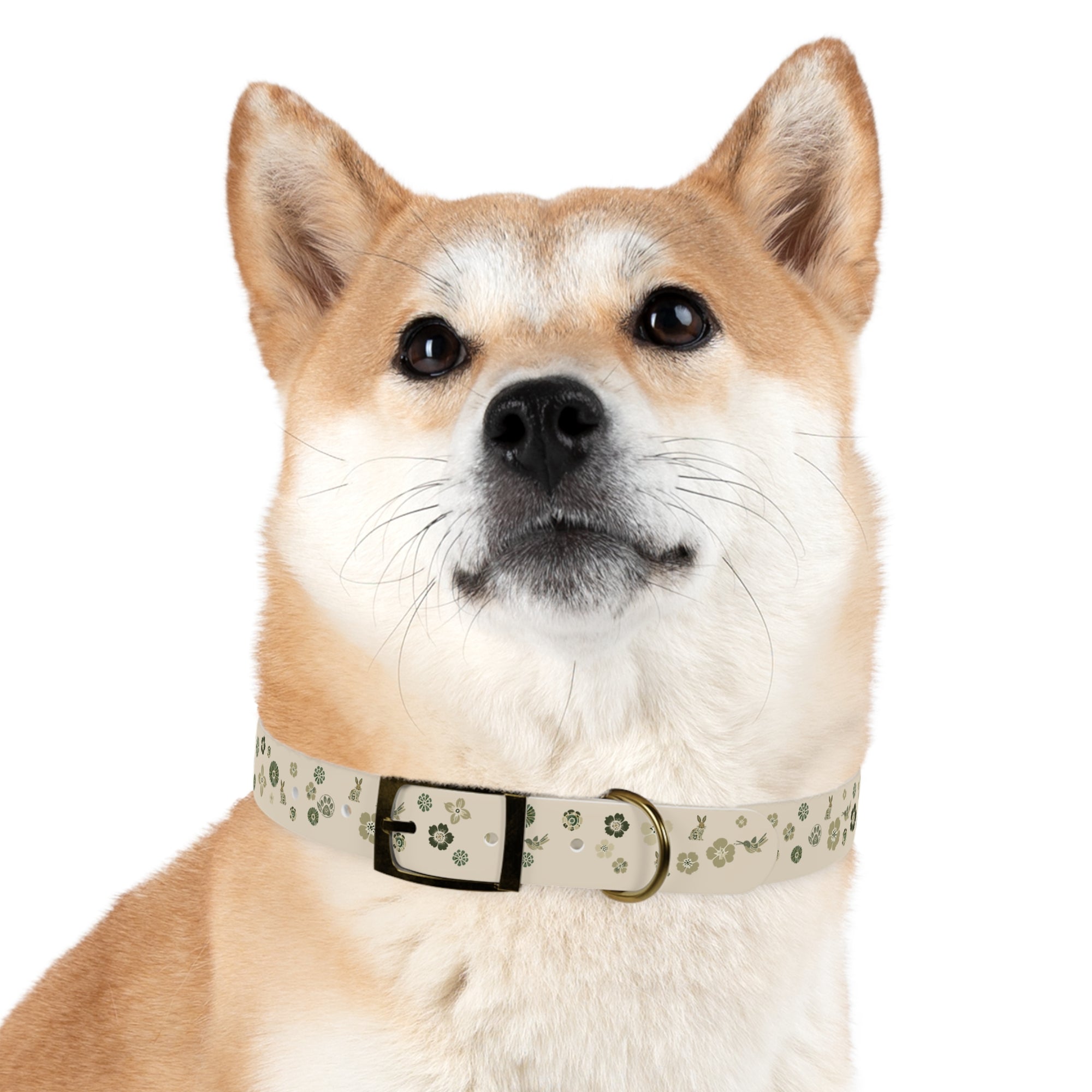 Meadow Moments: Dog Collar