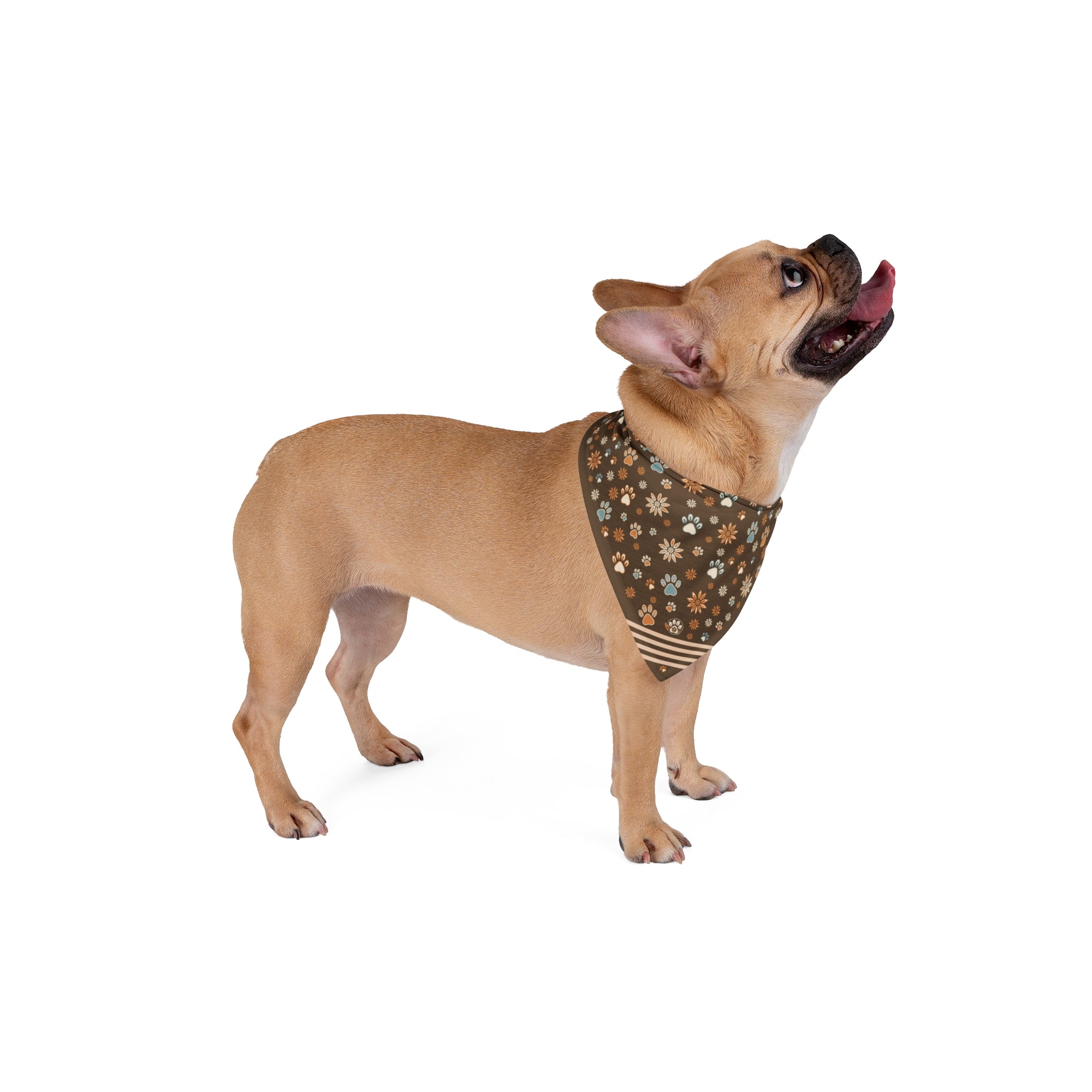 Wildbloom Walk: Pet Bandana