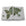 Earth Collection - Silver
