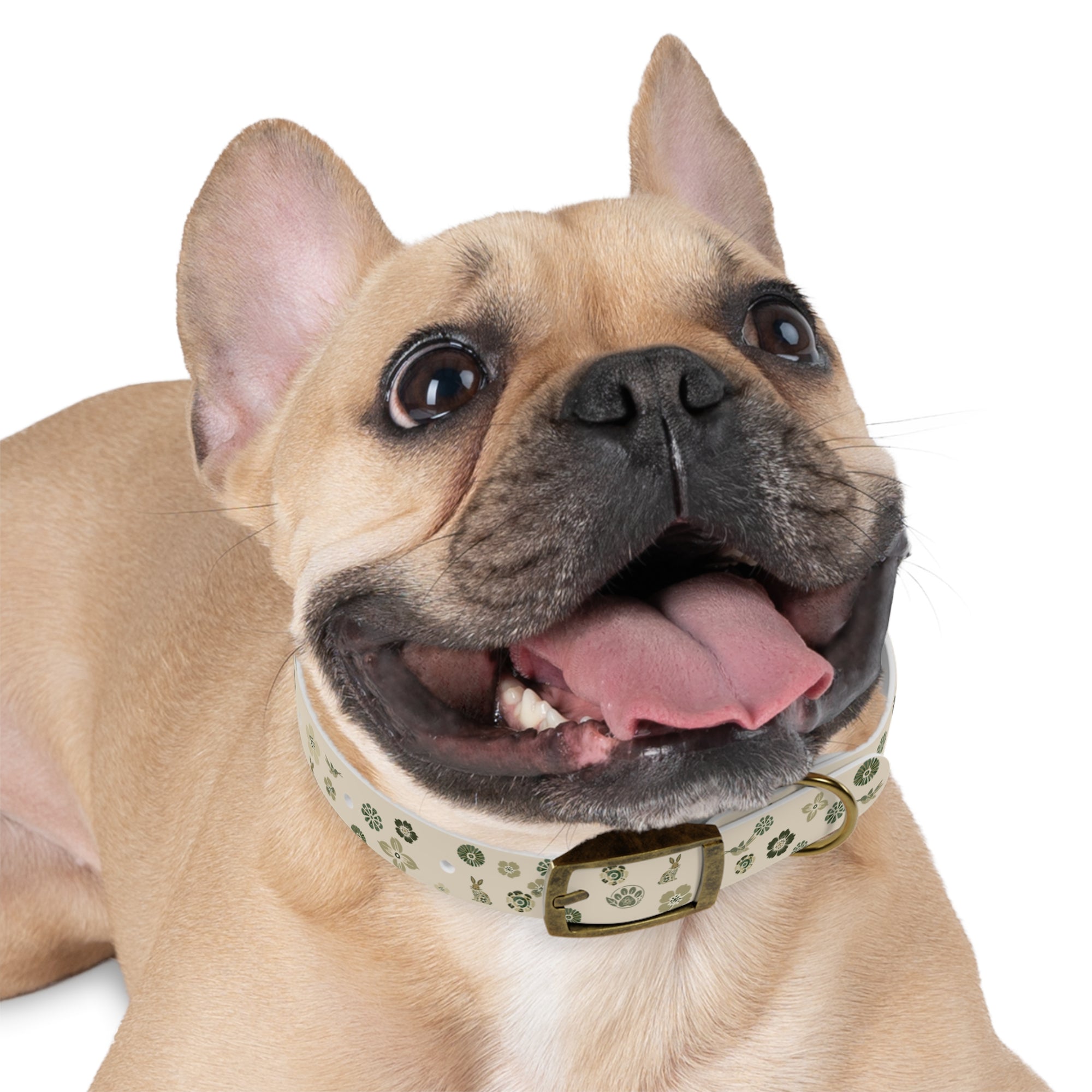 Meadow Moments: Dog Collar