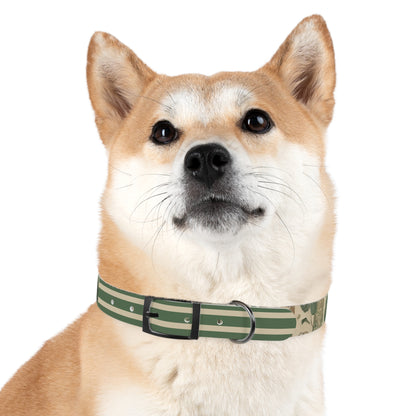 Dog Collar