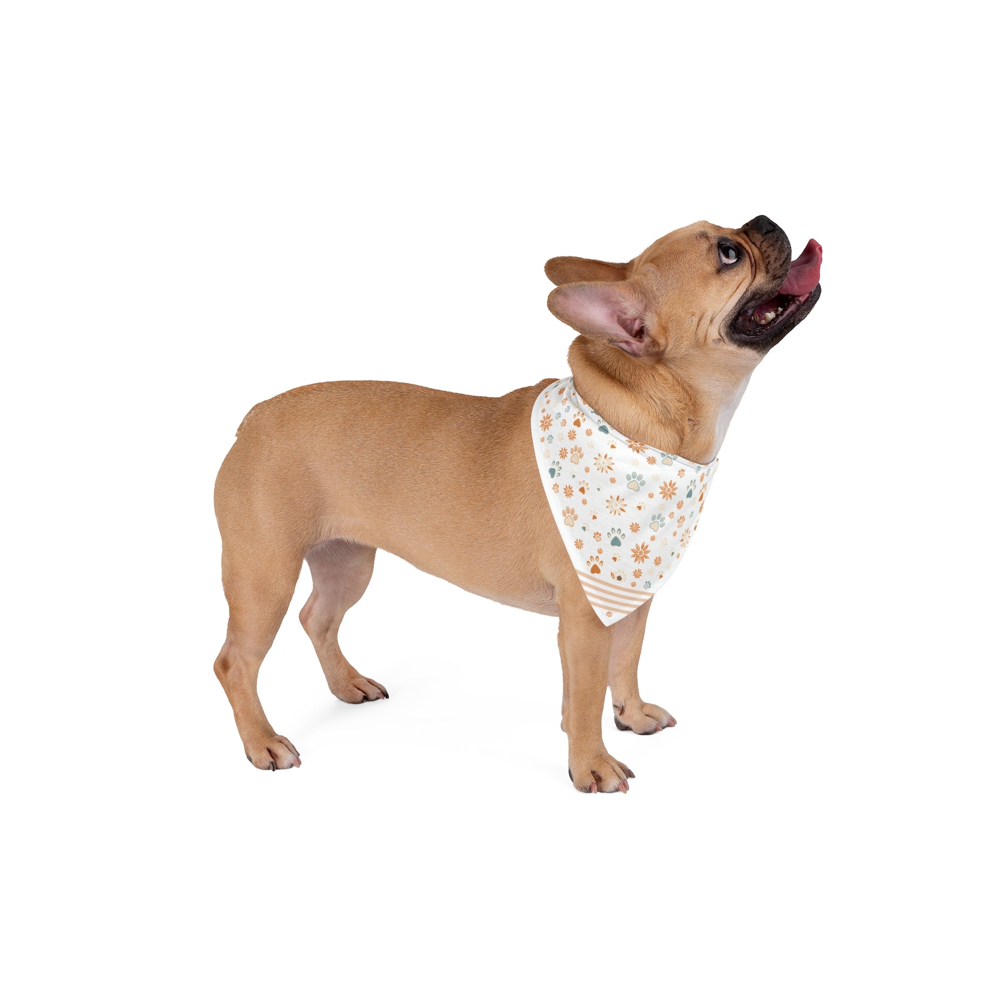 Wildbloom Walk: Pet Bandana