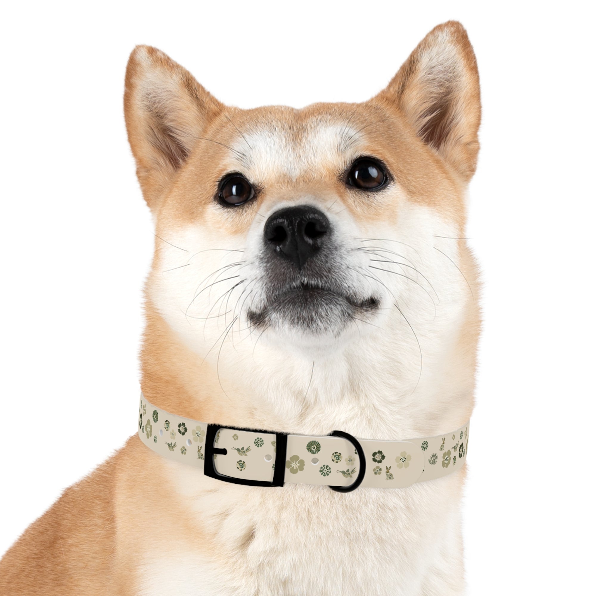 Meadow Moments: Dog Collar
