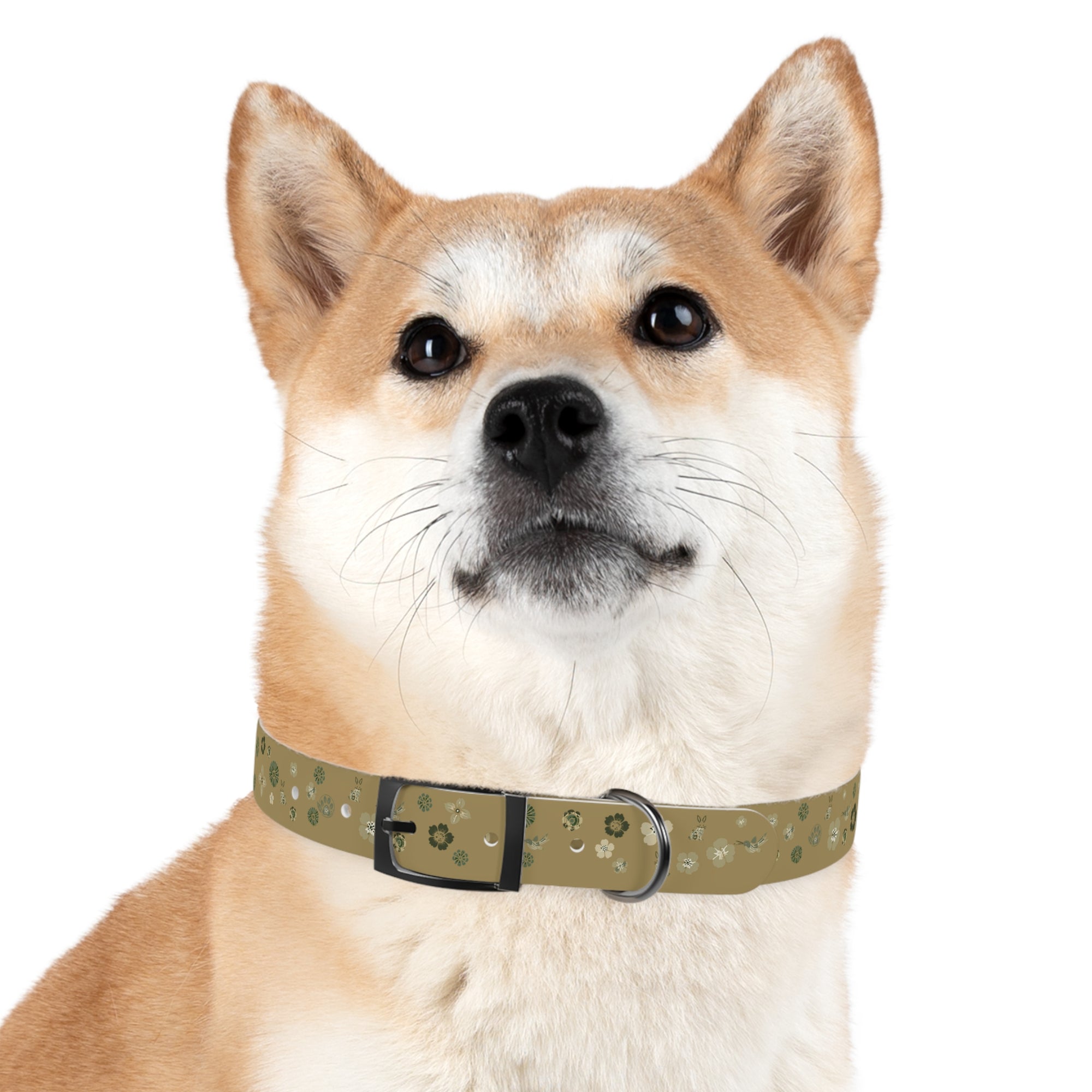 Meadow Moments: Dog Collar