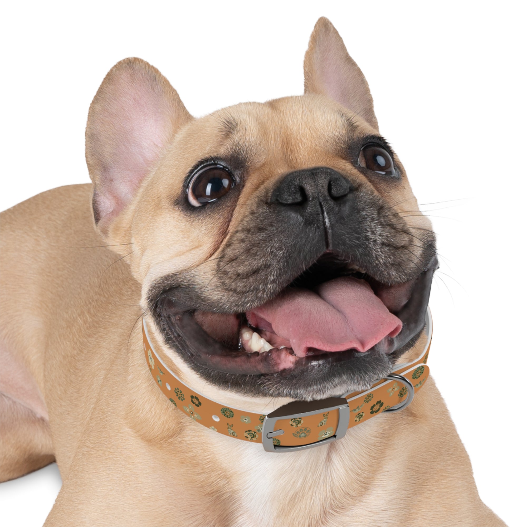 Meadow Moments: Dog Collar
