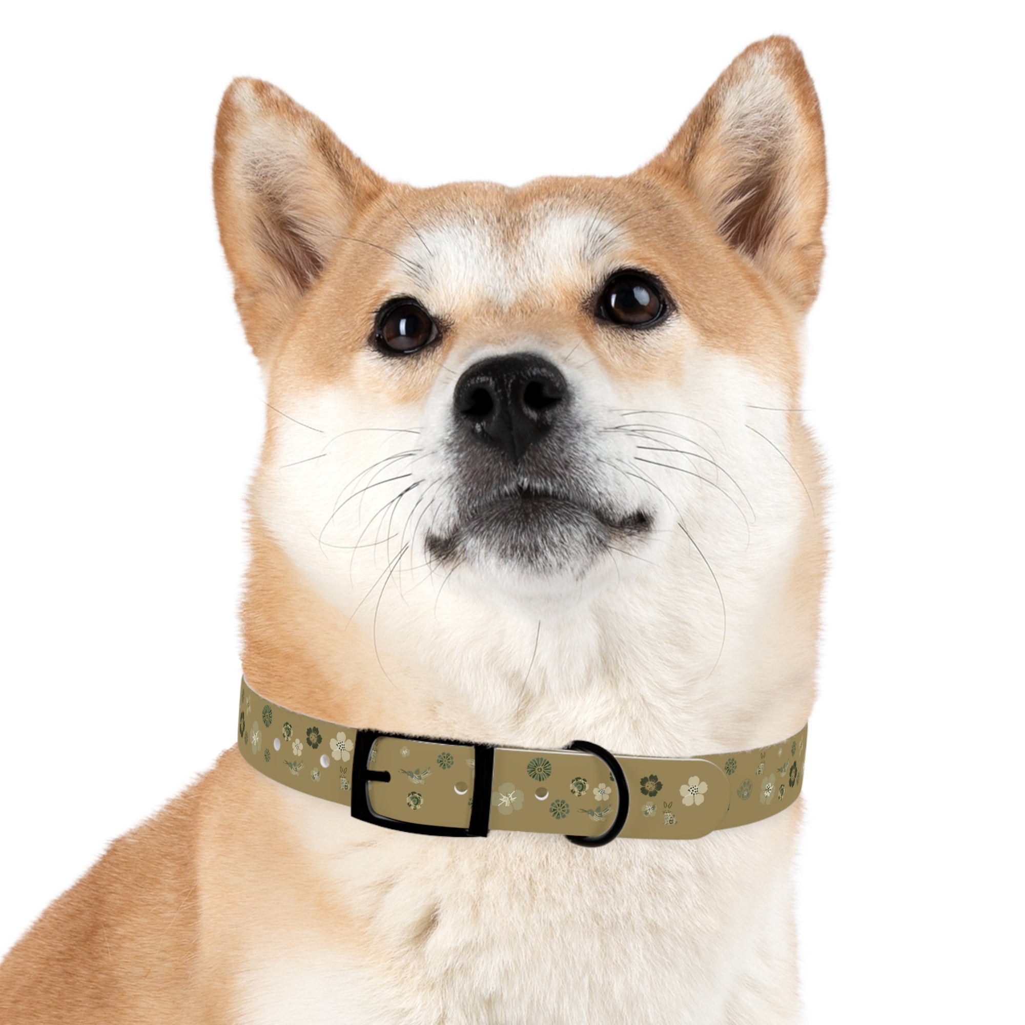 Meadow Moments: Dog Collar