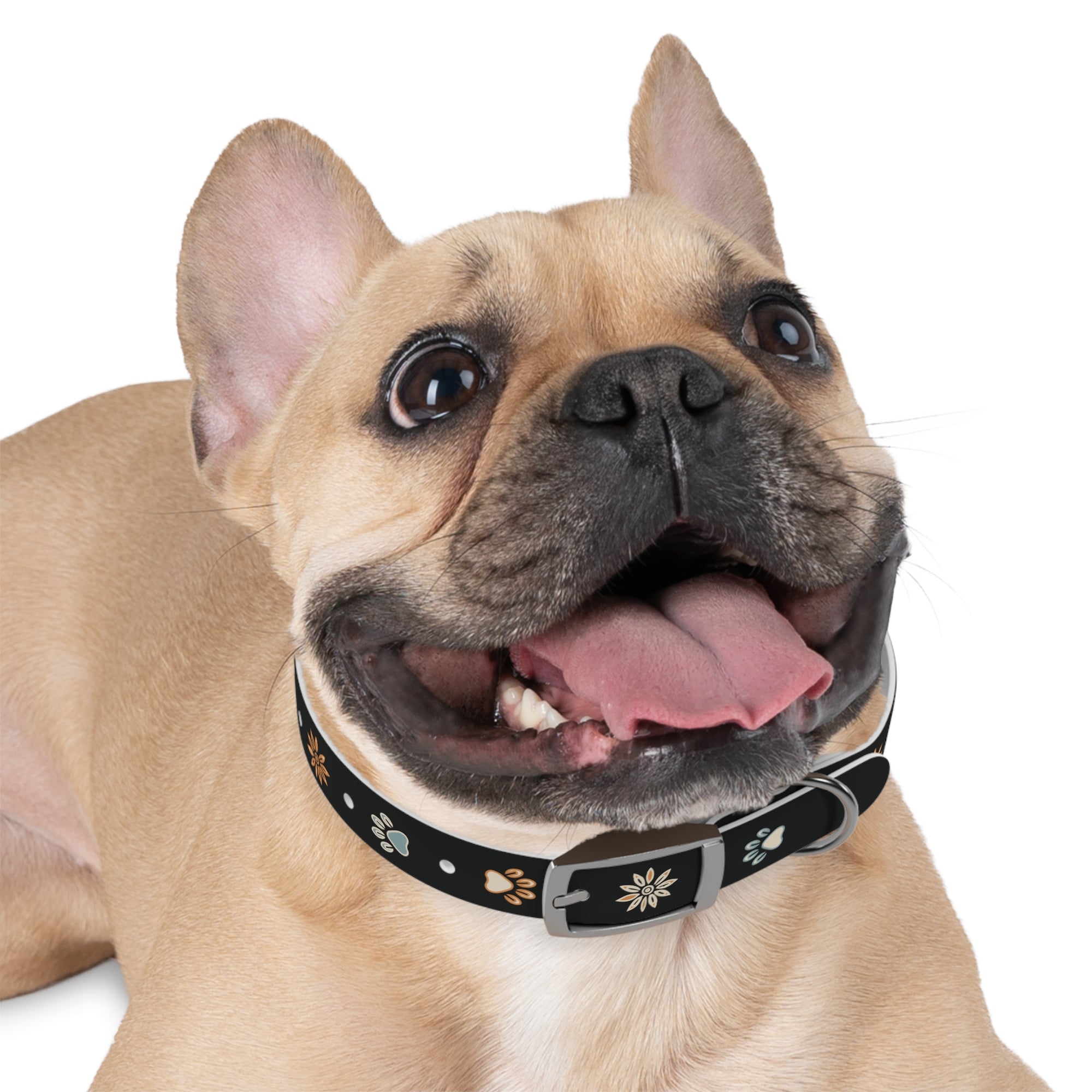 Wildbloom Walk: Dog Collar