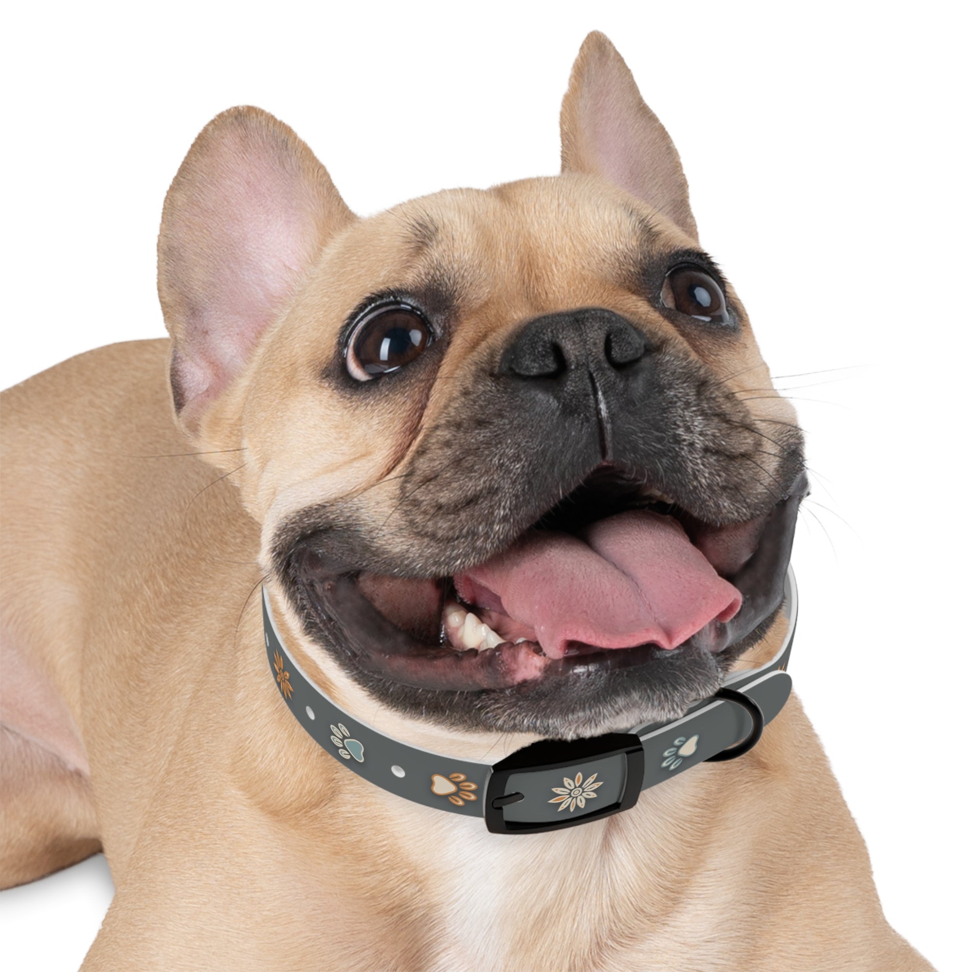 Wildbloom Walk: Dog Collar