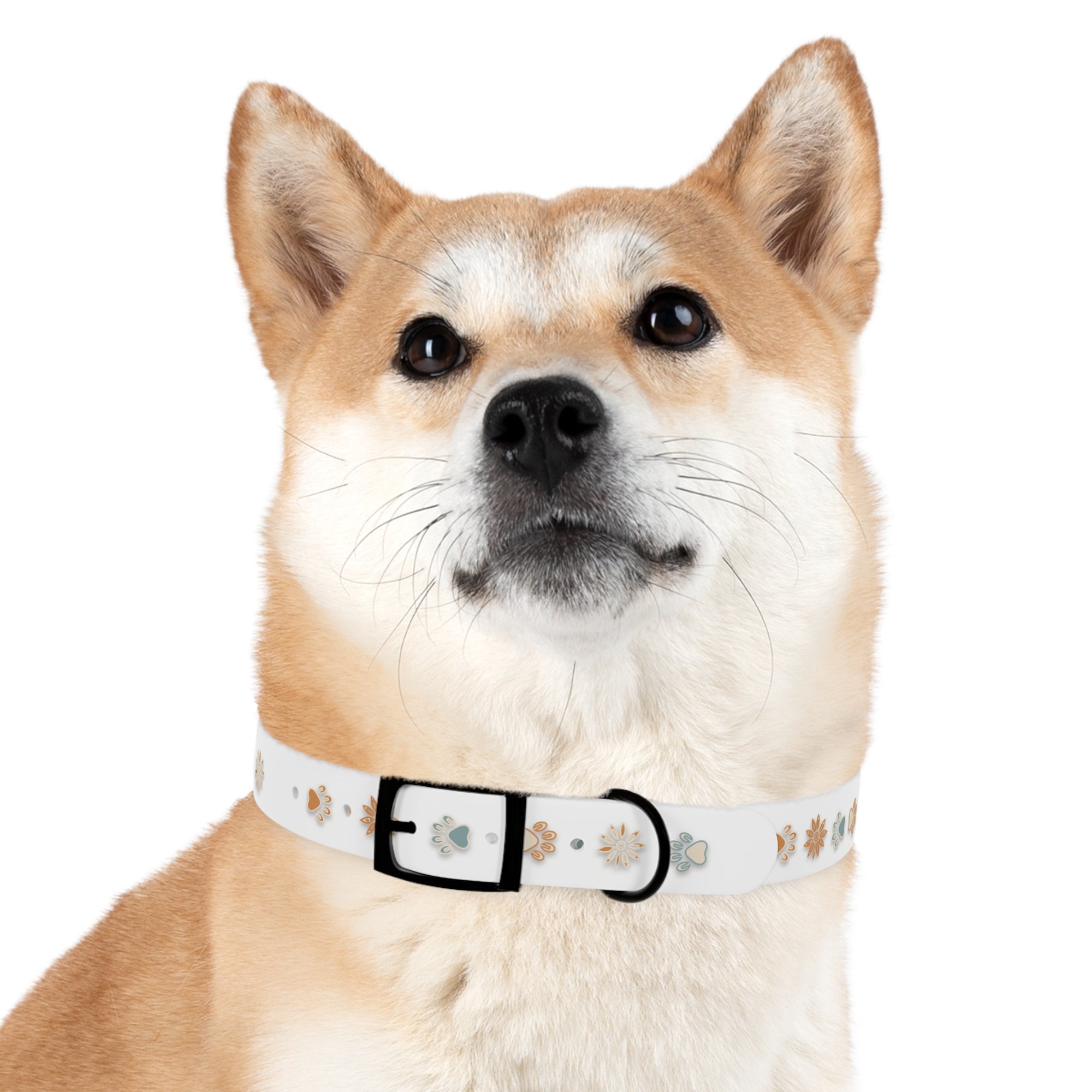 Wildbloom Walk: Dog Collar