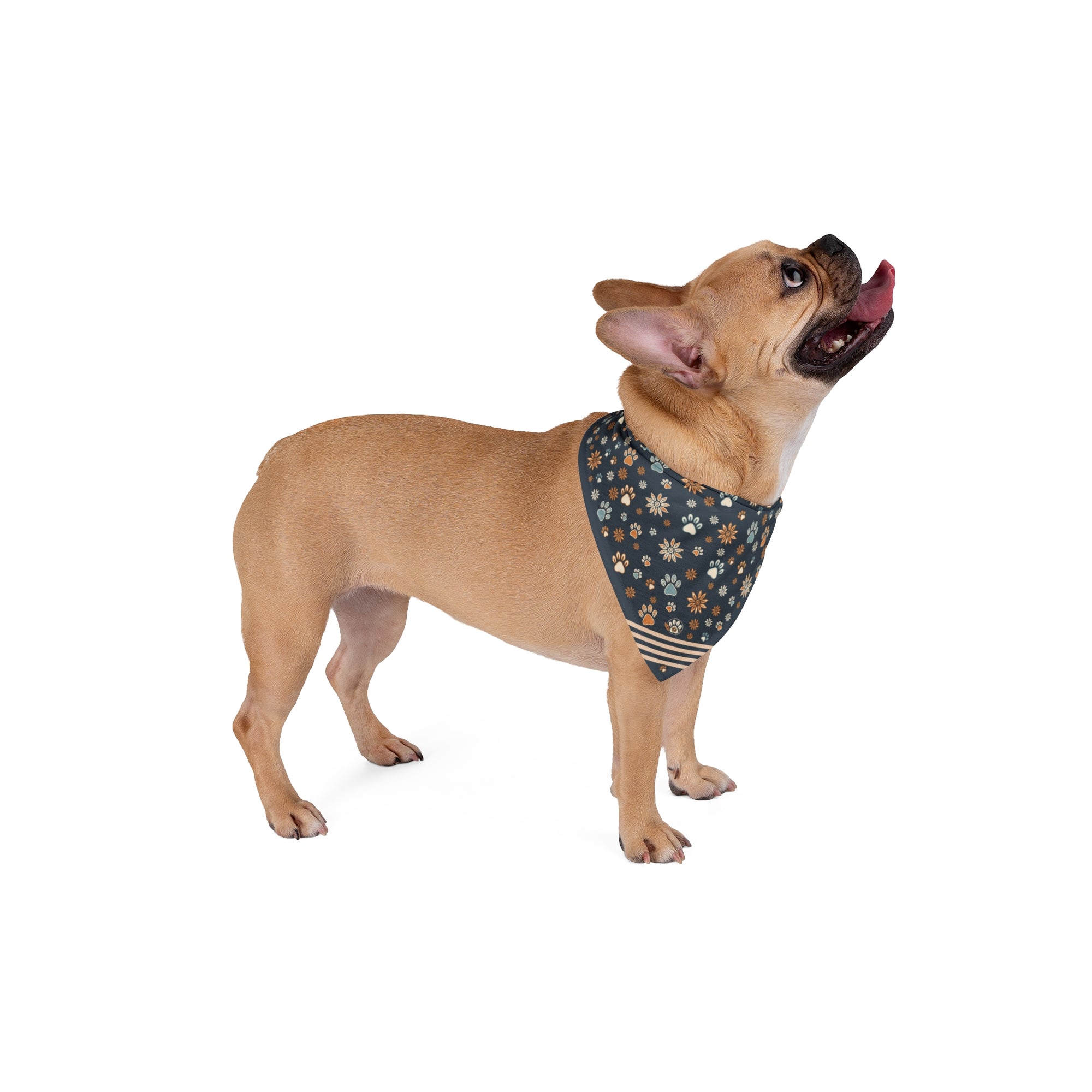 Wildbloom Walk: Pet Bandana