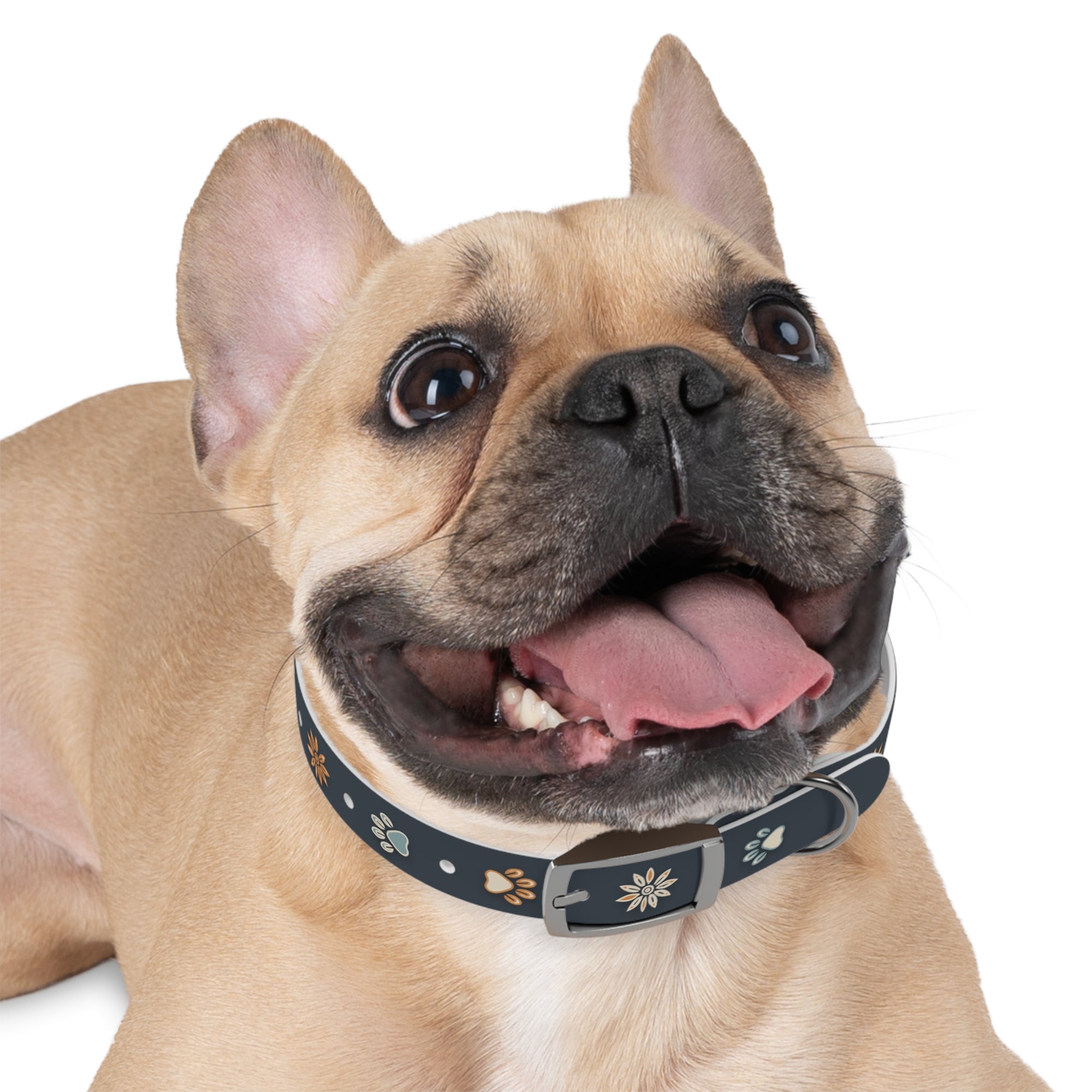 Wildbloom Walk: Dog Collar