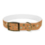 Myriad Collection - Orange