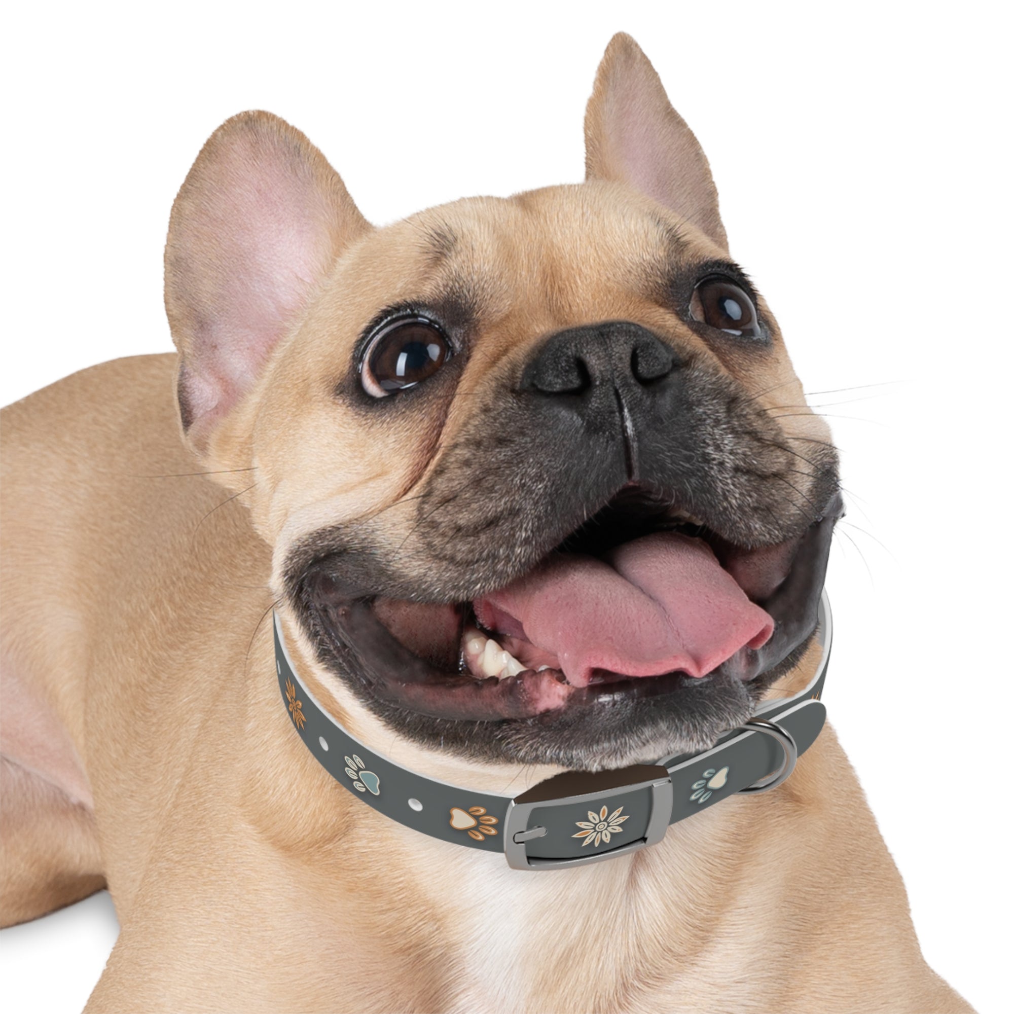 Wildbloom Walk: Dog Collar