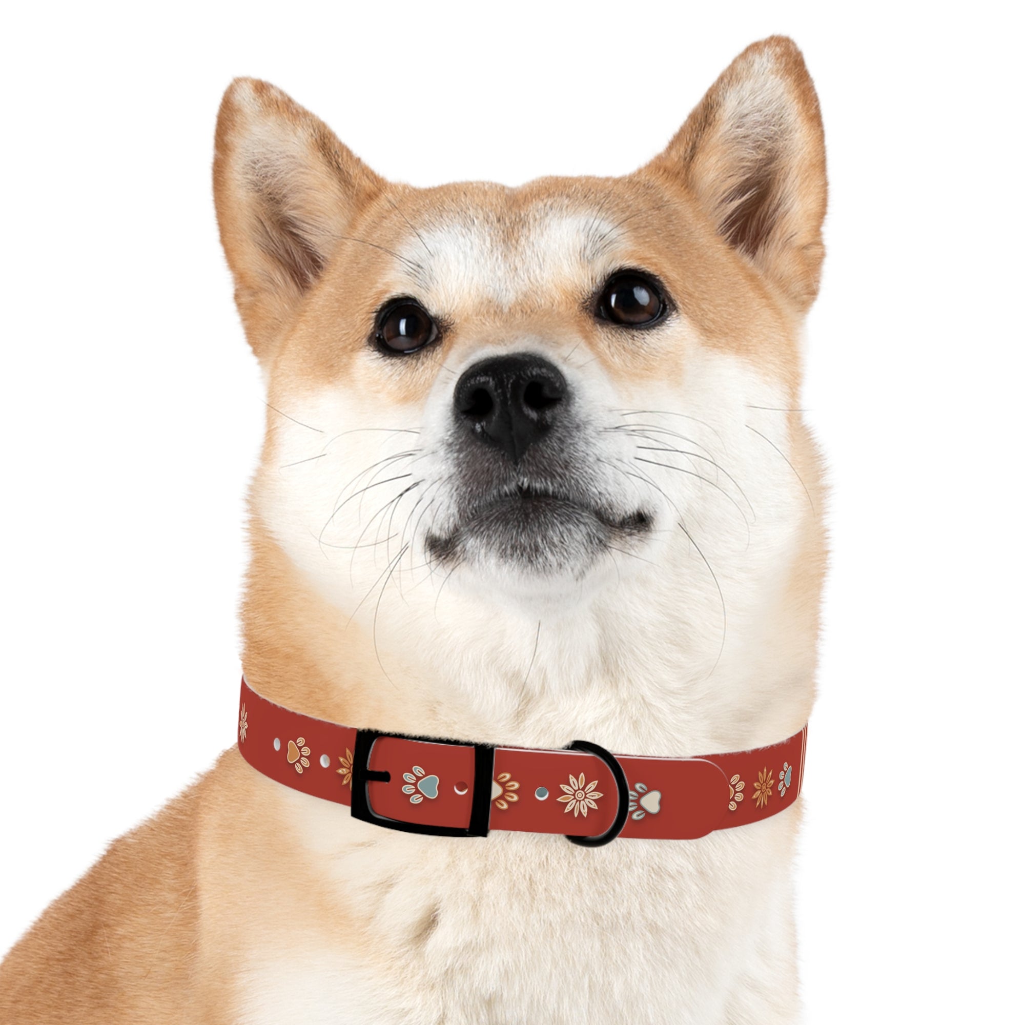 Wildbloom Walk: Dog Collar