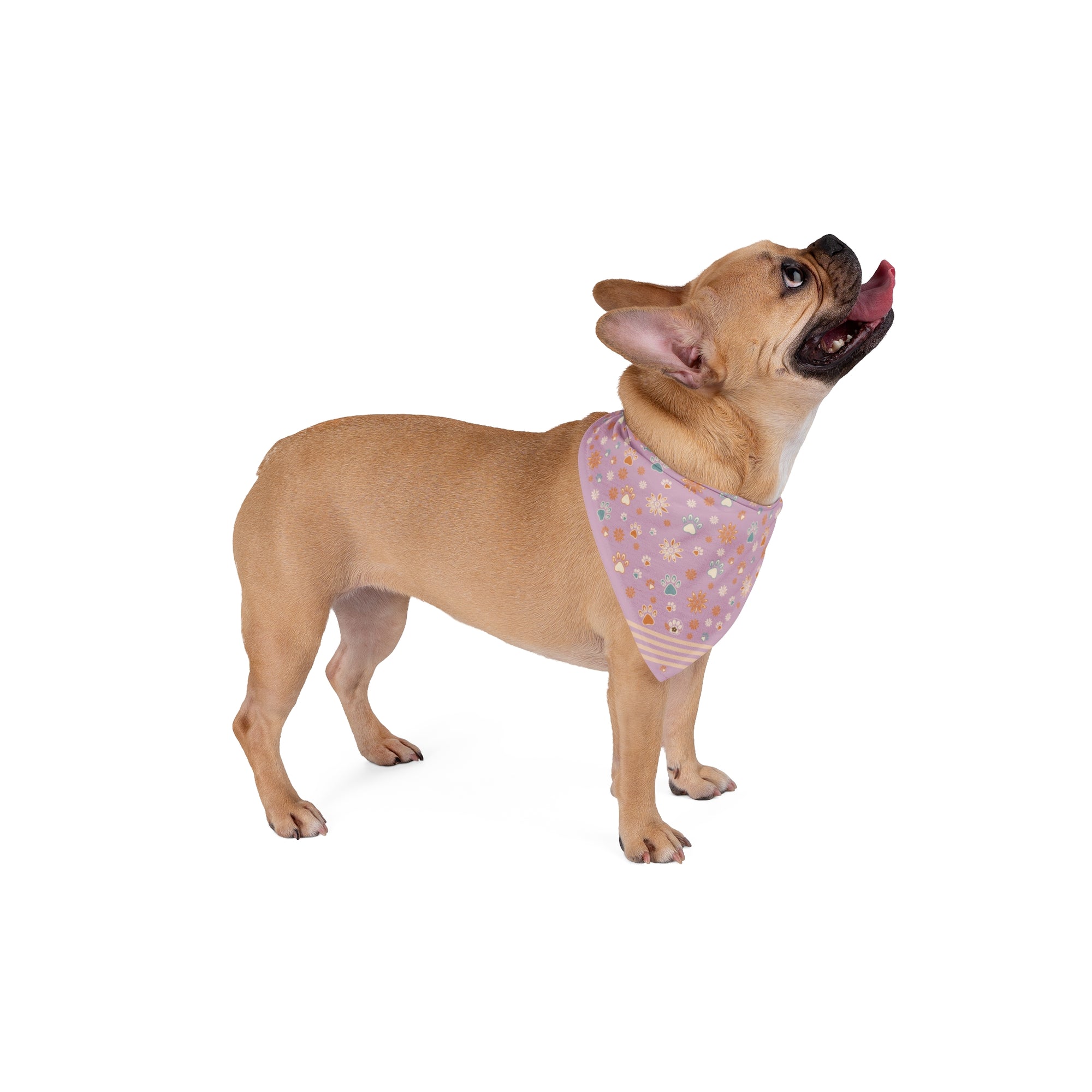 Wildbloom Walk: Pet Bandana