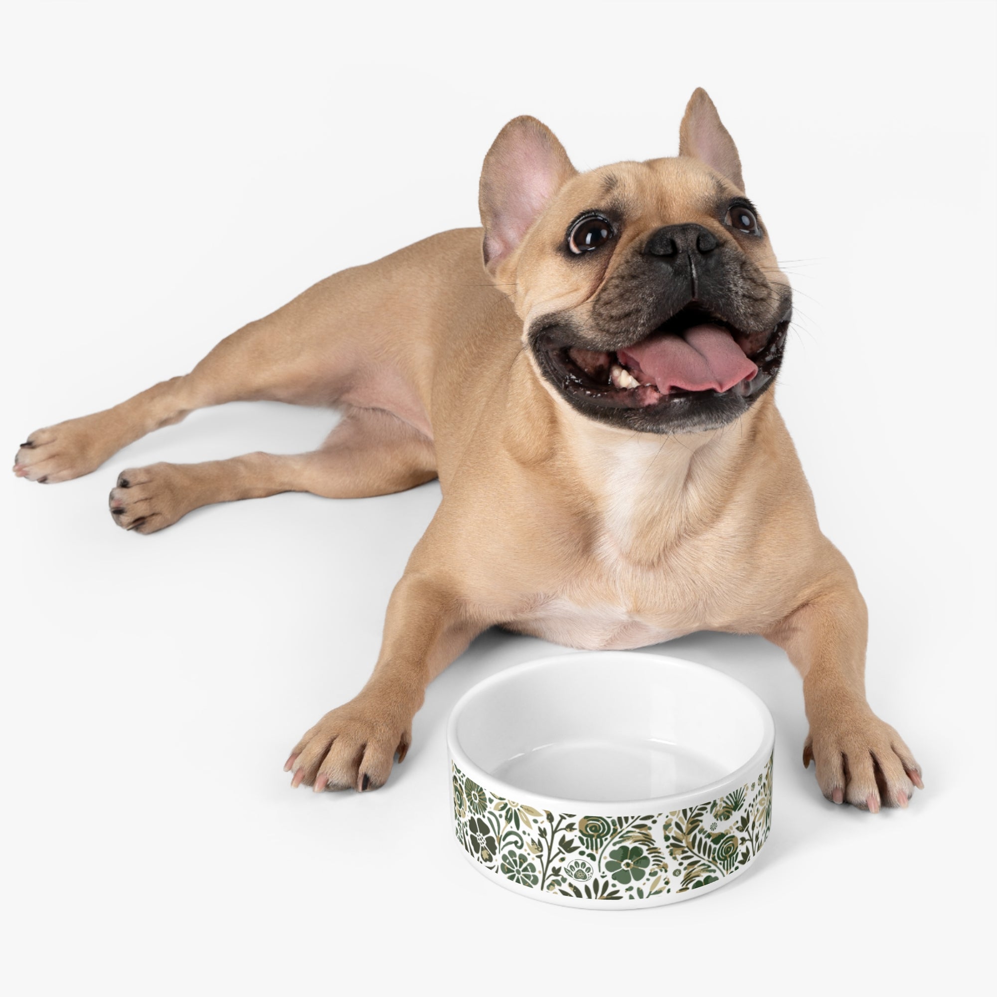 Essence of Wagnificence: Pet Bowl