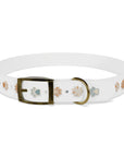 Wildbloom Walk: Dog Collar