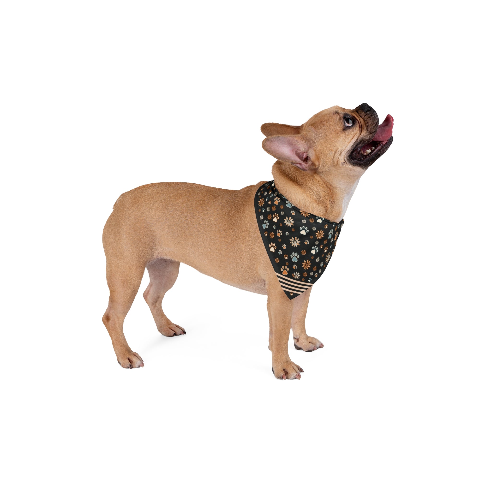 Wildbloom Walk: Pet Bandana