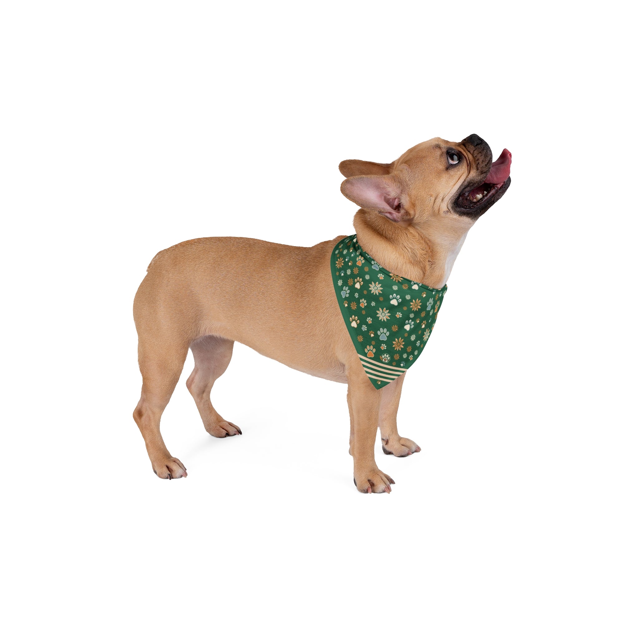 Wildbloom Walk: Pet Bandana