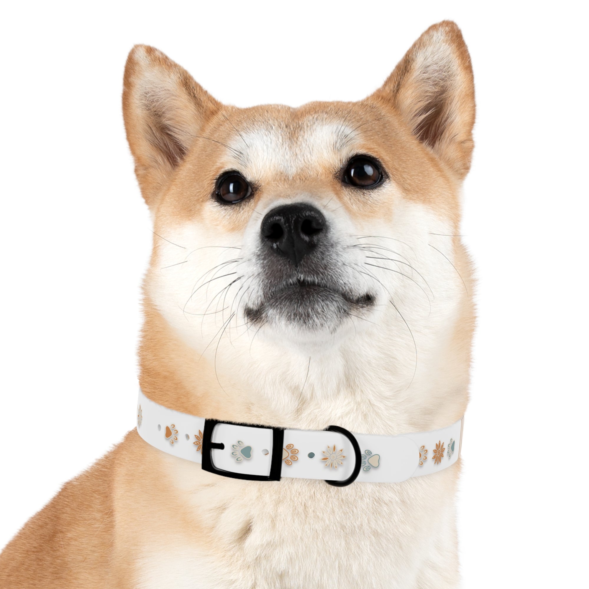 Wildbloom Walk: Dog Collar