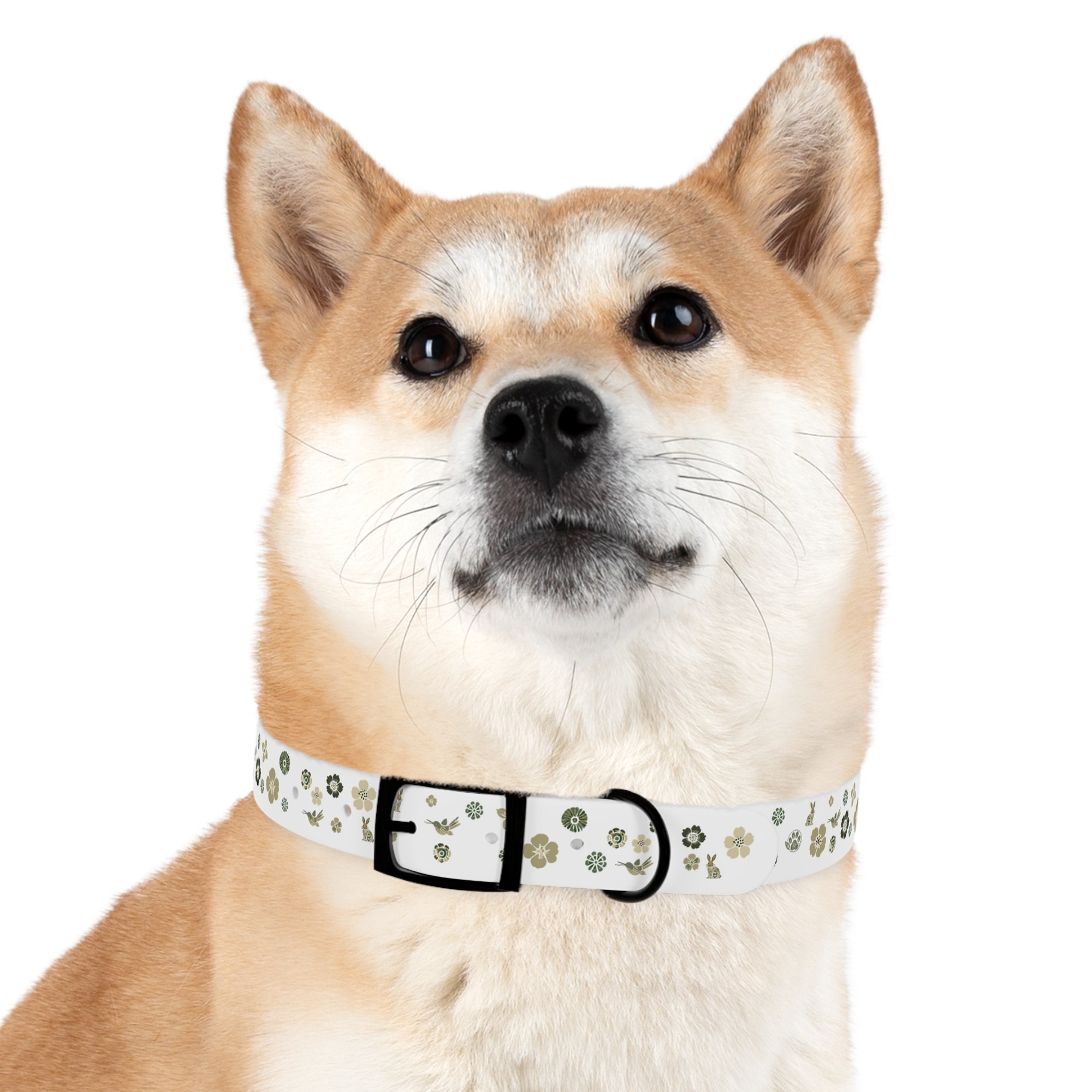 Meadow Moments: Dog Collar