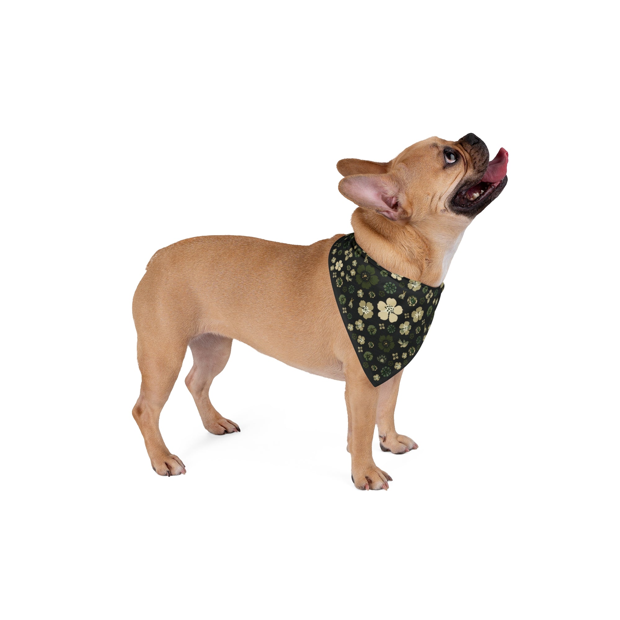 Meadow Moments: Pet Bandana