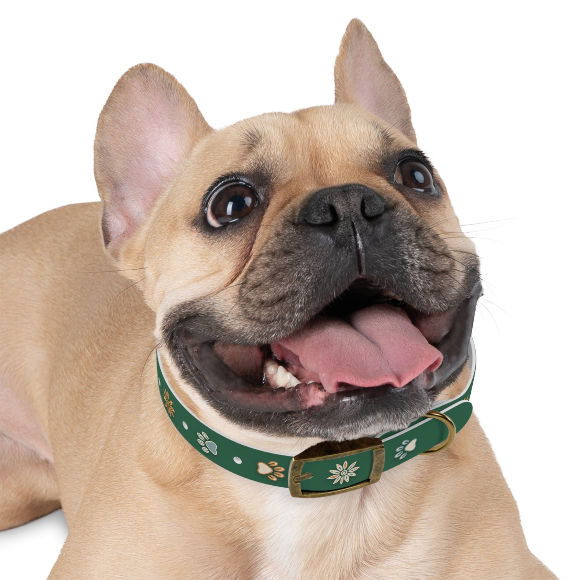 Wildbloom Walk: Dog Collar