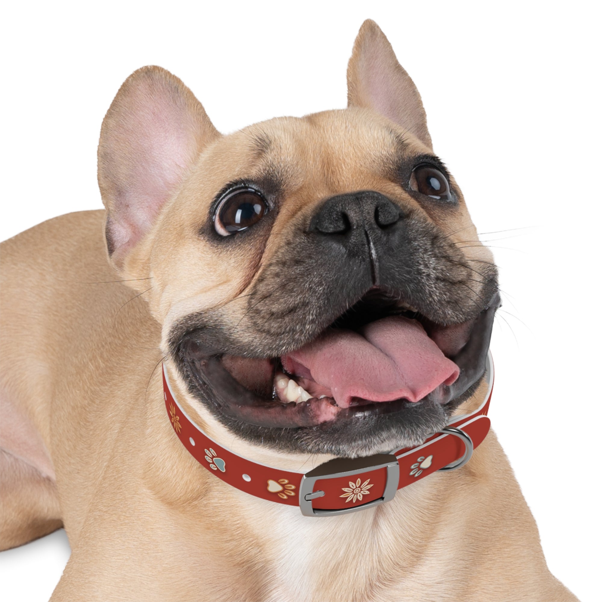 Wildbloom Walk: Dog Collar