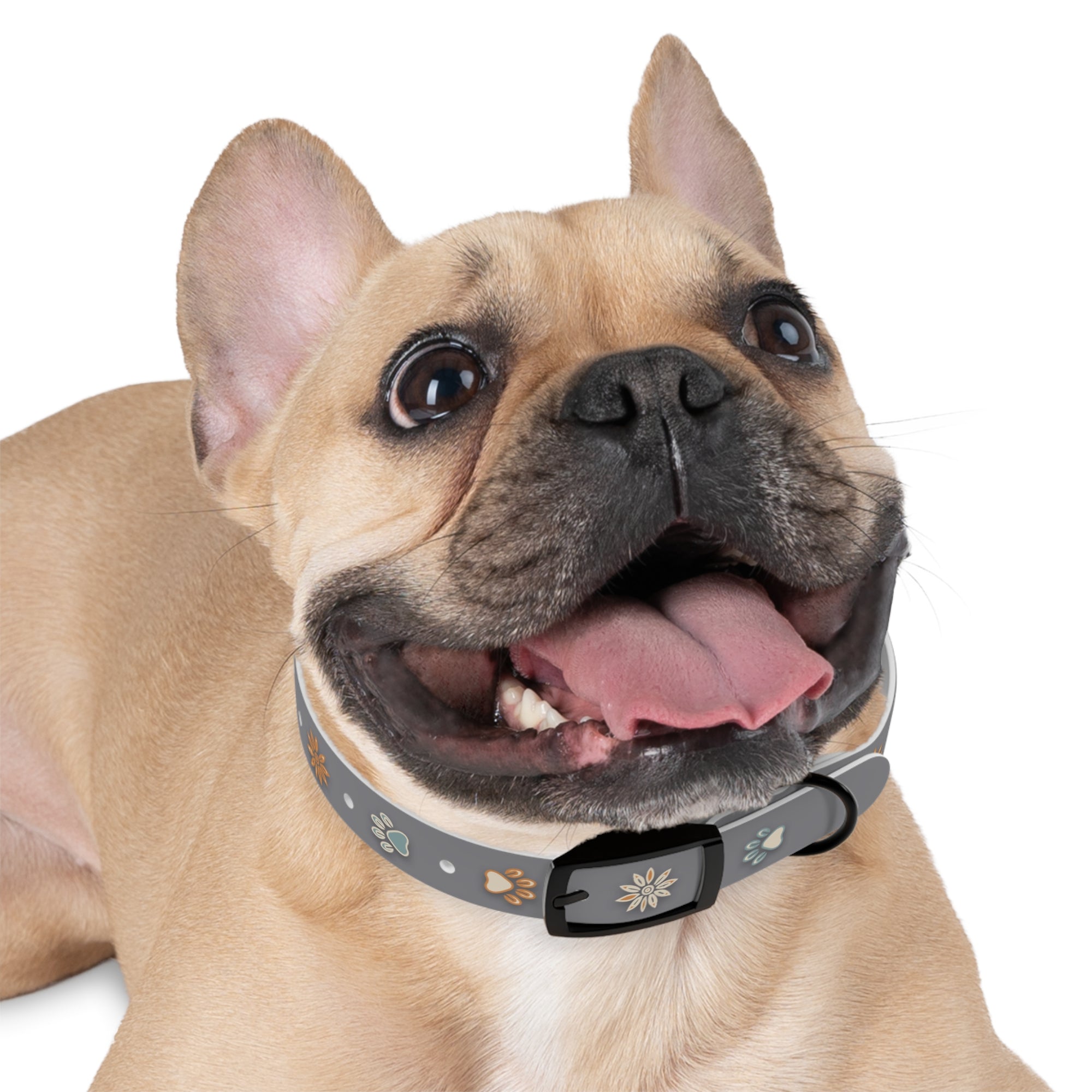 Wildbloom Walk: Dog Collar