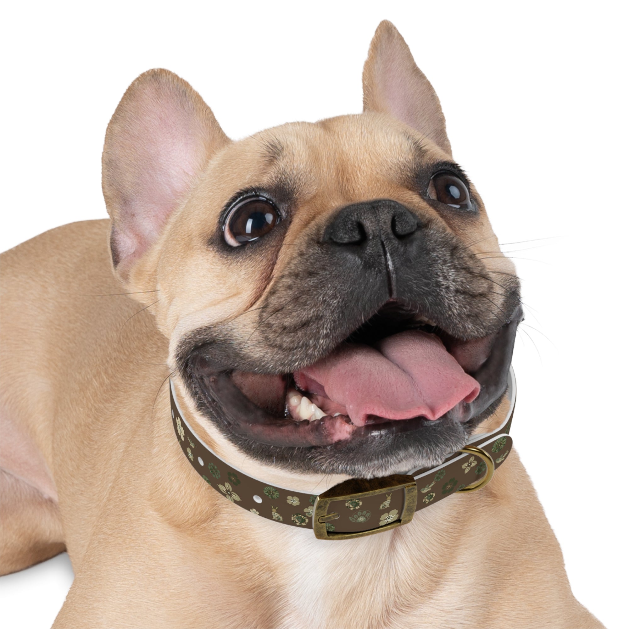 Meadow Moments: Dog Collar
