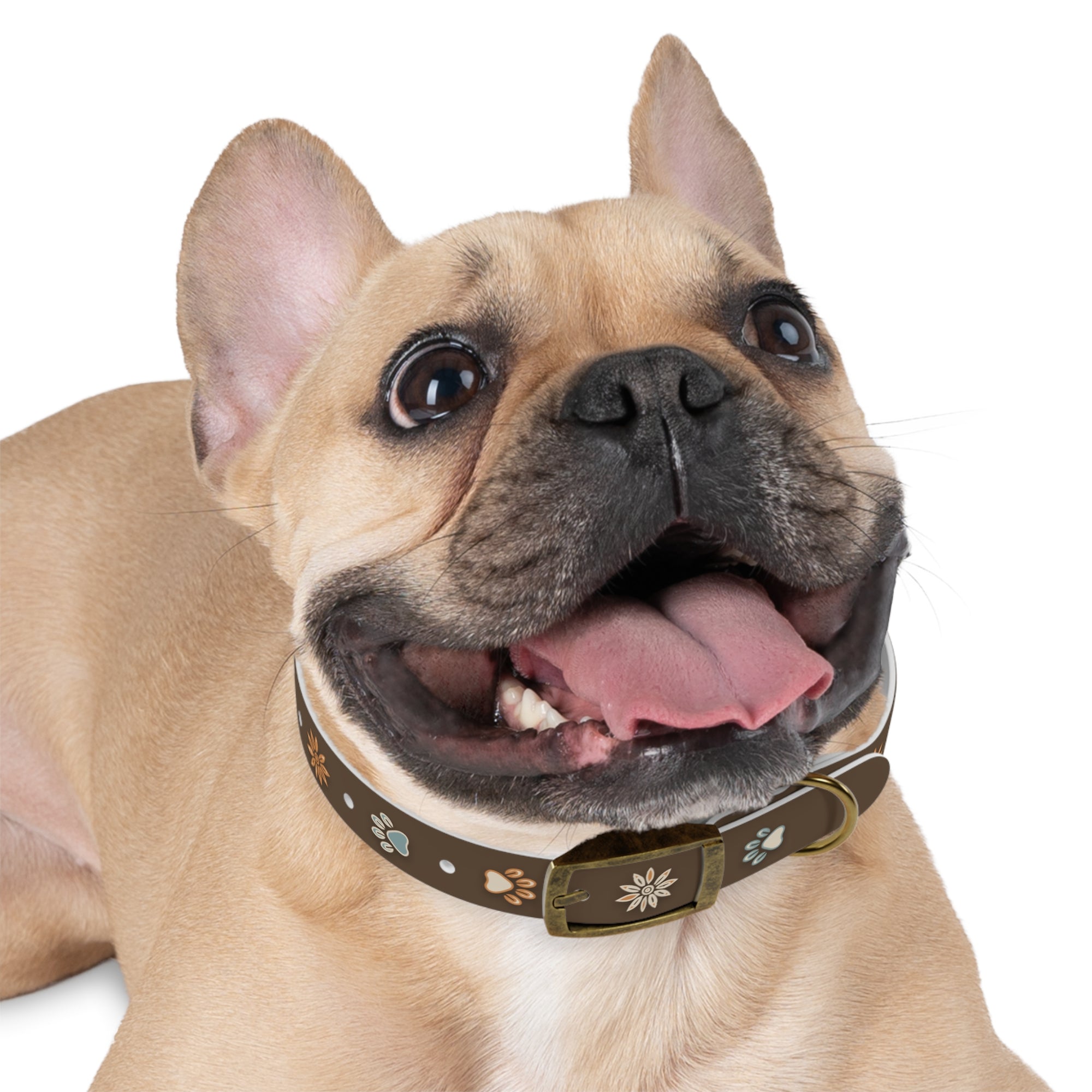 Wildbloom Walk: Dog Collar