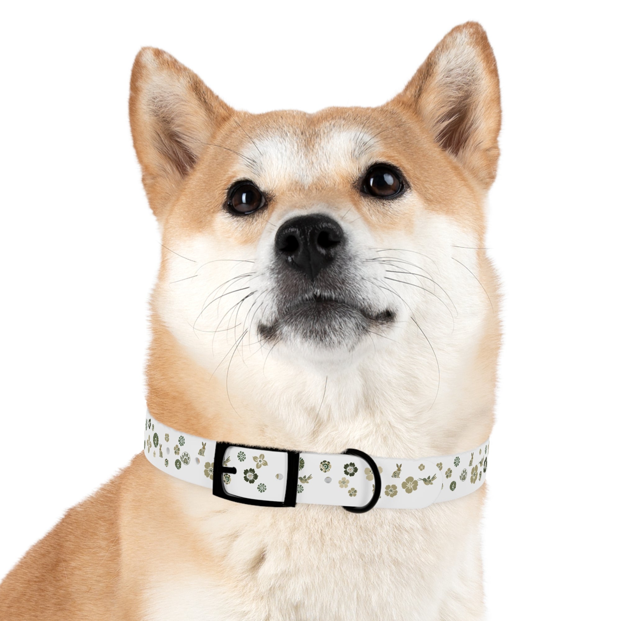 Meadow Moments: Dog Collar