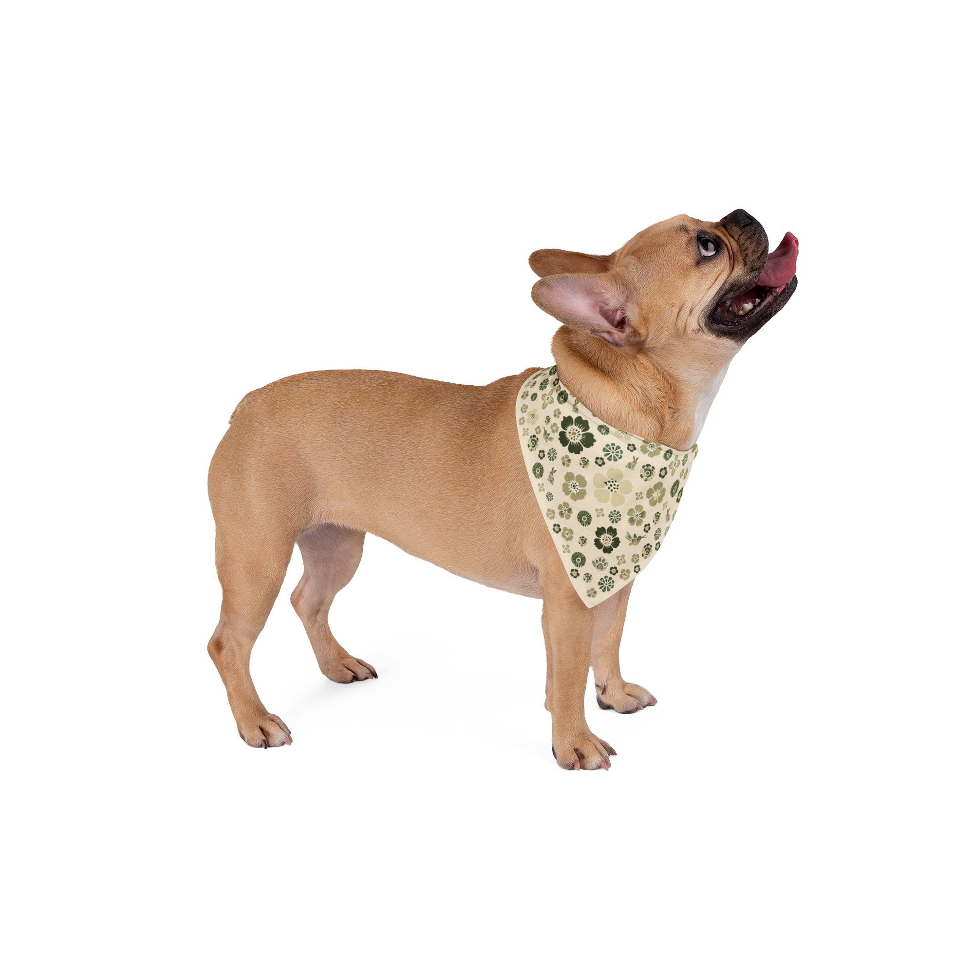 Meadow Moments: Pet Bandana