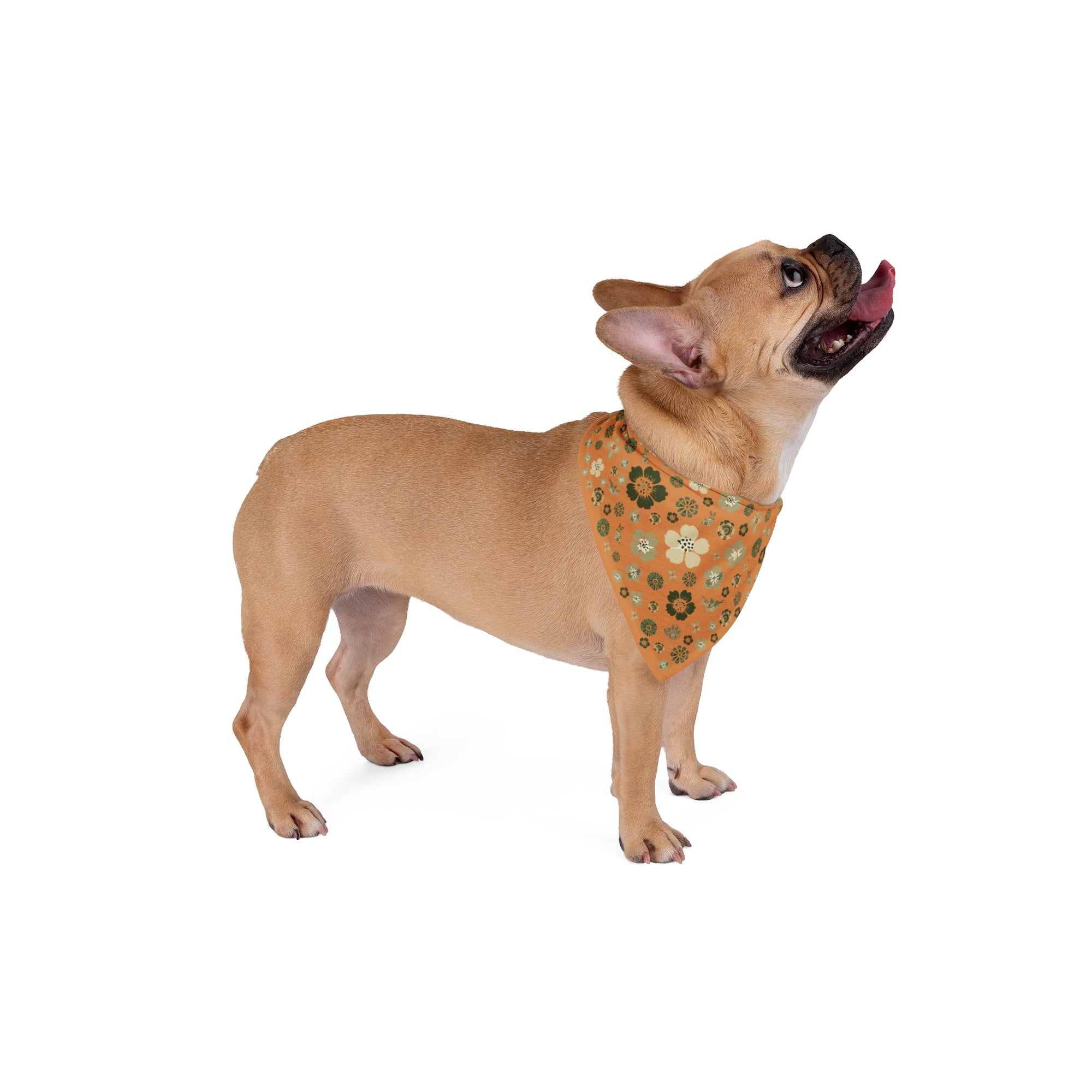 Meadow Moments: Pet Bandana