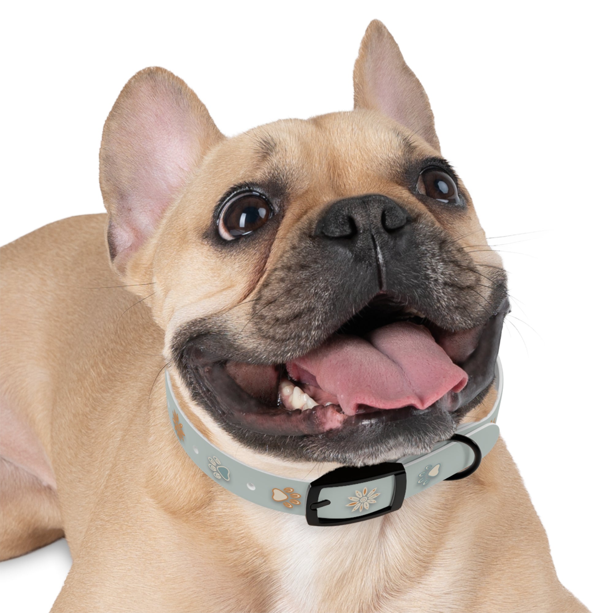 Wildbloom Walk: Dog Collar