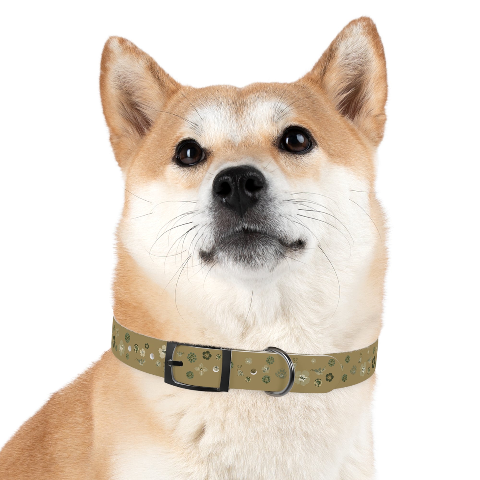 Meadow Moments: Dog Collar