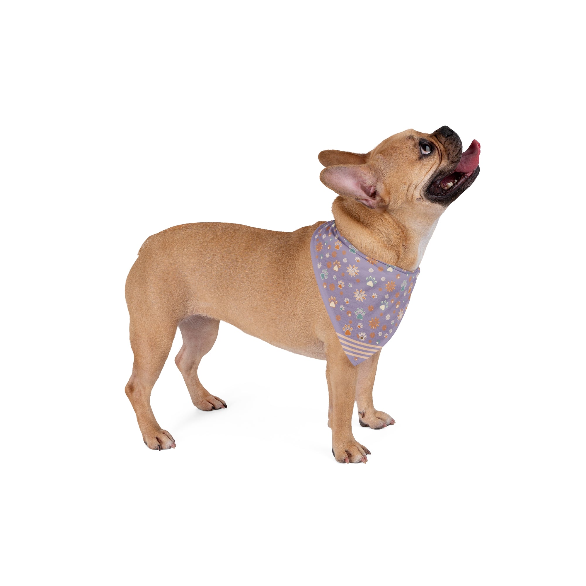 Wildbloom Walk: Pet Bandana