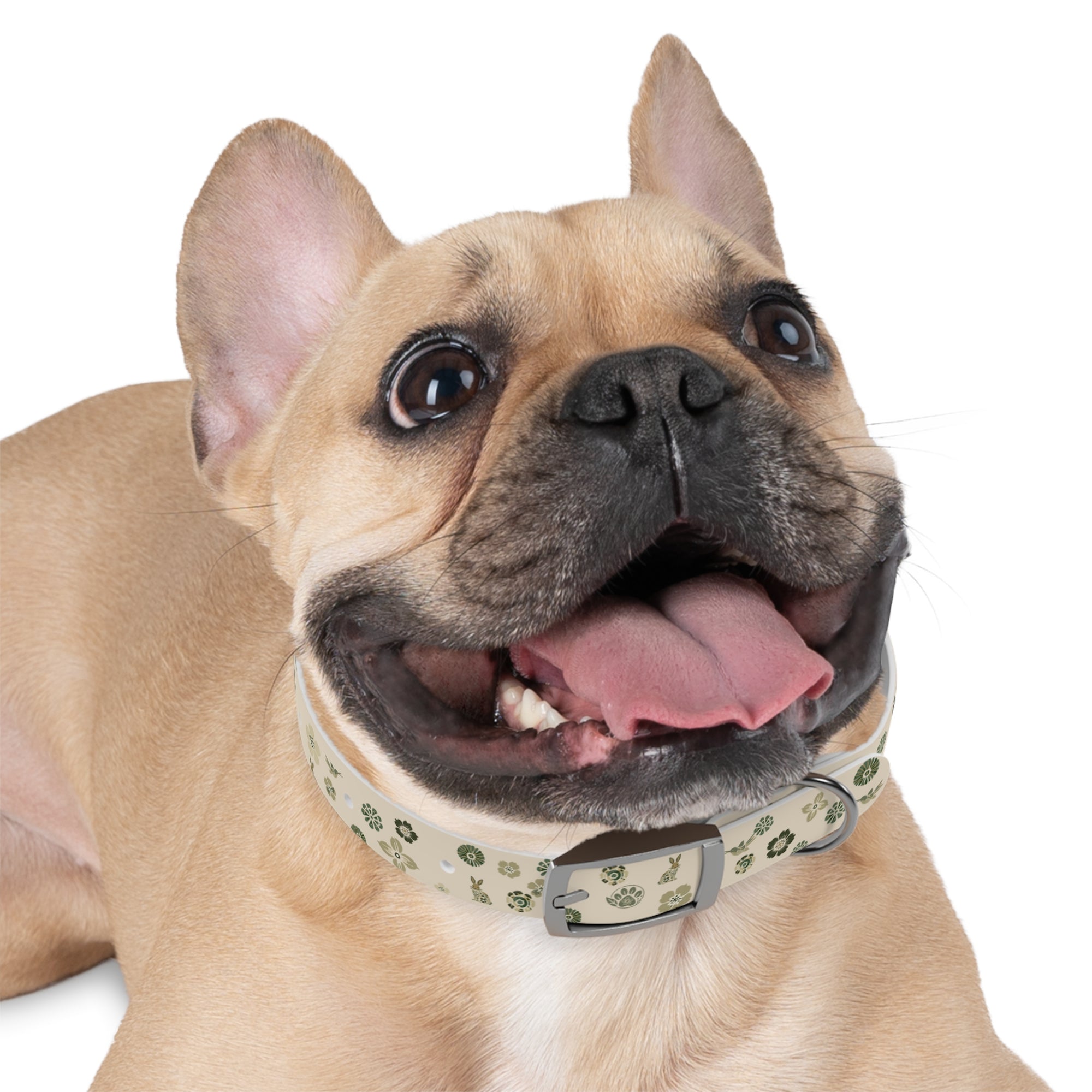 Meadow Moments: Dog Collar